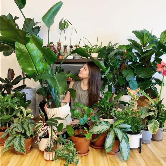 Meet your Posher, Lauren - Picture 1 of 2